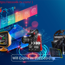 Ott Platinum intro hardcoded+instruction